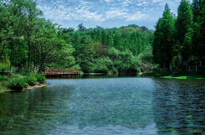 (注:九曲河湿地公园实景图)